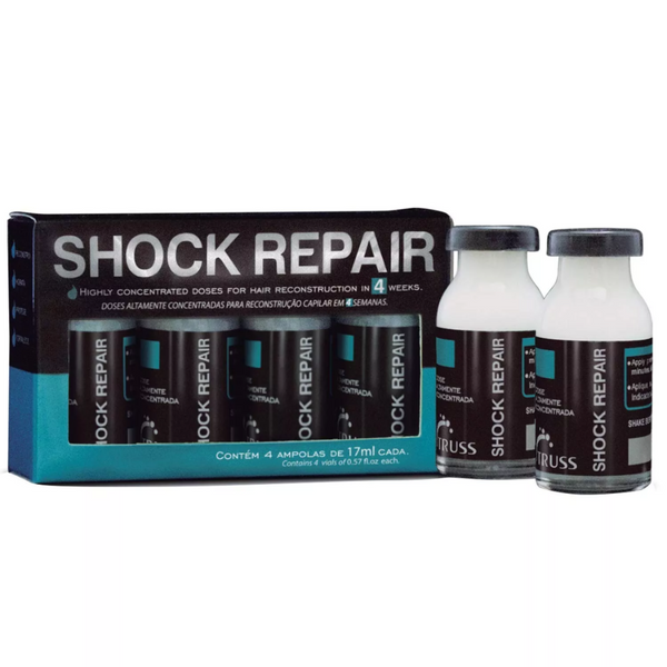 TRUSS SHOCK REPAIR | 104.001