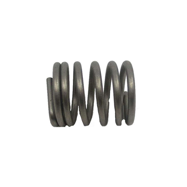 OSTER MASSAGER CONNECT SPRING | 55373