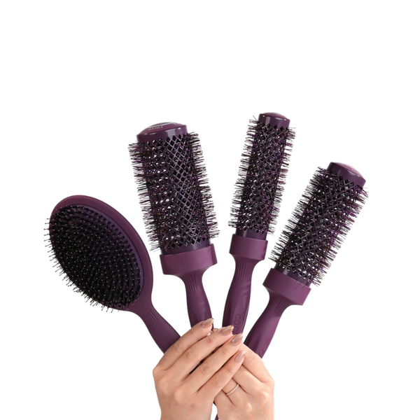 COCCO AURA BRUSH SET-PURPLE | CKTA4PCS-PURPLE