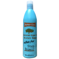 BIOHAIR-CARE MOROCCAN SHAMPOO 16.9 OZ.